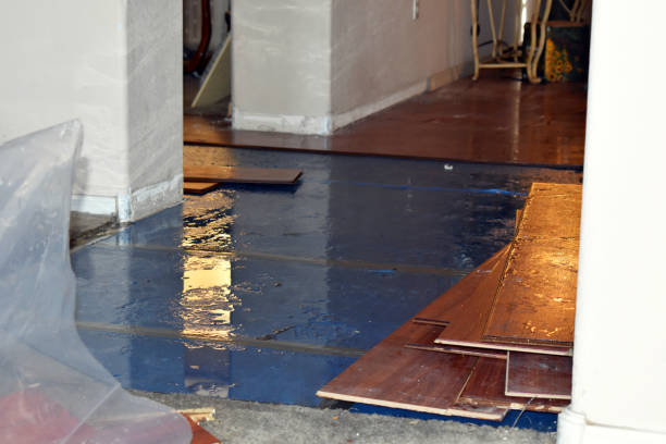 Professional Burst Pipe Cleanup technician working in Madison, NH
